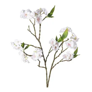 Blossom Spray 78cm White by Florabelle Living, a Plants for sale on Style Sourcebook