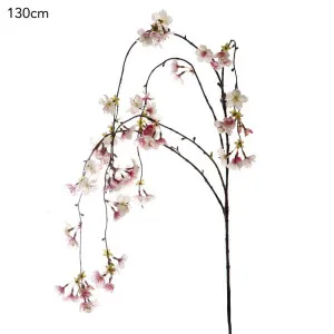 Cherry Blossom Hanging Spray 1.3m Pink by Florabelle Living, a Plants for sale on Style Sourcebook