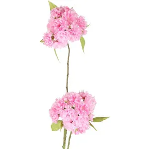 Cherry Blossom Spray 72cm Light Pink by Florabelle Living, a Plants for sale on Style Sourcebook