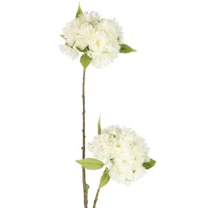 Cherry Blossom Spray 72cm White by Florabelle Living, a Plants for sale on Style Sourcebook