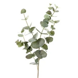 Eucalyptus leaf spray 86cm by Florabelle Living, a Plants for sale on Style Sourcebook