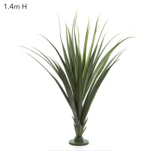Pandanus Head Large 1.4m by Florabelle Living, a Plants for sale on Style Sourcebook