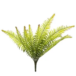 Fern Bush 50cm by Florabelle Living, a Plants for sale on Style Sourcebook
