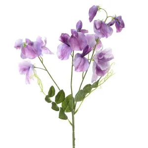 Sweetpea Spray 70cm Lavender by Florabelle Living, a Plants for sale on Style Sourcebook