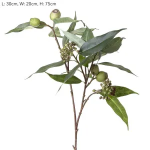 Gumnut Eucalyptus Seed Spray 75cm Green by Florabelle Living, a Plants for sale on Style Sourcebook