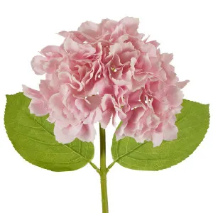 Hydrangea Stem Soft Touch 50cm Mid Pink by Florabelle Living, a Plants for sale on Style Sourcebook