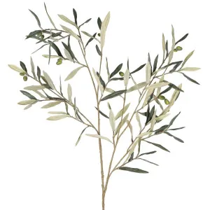 Olive leaf Branch 94cm Green by Florabelle Living, a Plants for sale on Style Sourcebook