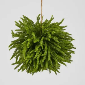 Norfolk Pine Ball Small hanging by Florabelle Living, a Plants for sale on Style Sourcebook