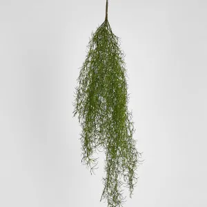 Asparagus Hanging Spray 138cm by Florabelle Living, a Plants for sale on Style Sourcebook