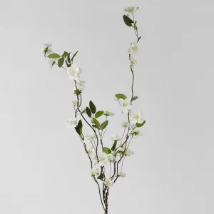 Blossom Spray White 100cm by Florabelle Living, a Plants for sale on Style Sourcebook