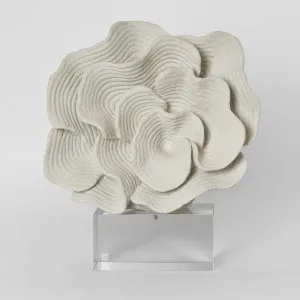 Coral On Crystal White by Florabelle Living, a Statues & Ornaments for sale on Style Sourcebook