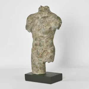 Grecian Male Bust on Base by Florabelle Living, a Statues & Ornaments for sale on Style Sourcebook