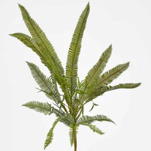 Fern Leaf Spray 72cm by Florabelle Living, a Plants for sale on Style Sourcebook