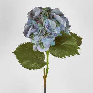 Hydrangea Large Stem With Leaves 75cm by Florabelle Living, a Plants for sale on Style Sourcebook