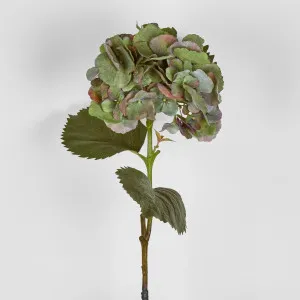 Hydrangea Large Stem With Leaves 75cm by Florabelle Living, a Plants for sale on Style Sourcebook