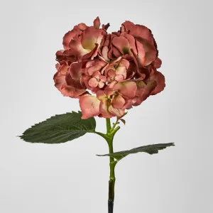Hydrangea Large Stem With Leaves 75cm by Florabelle Living, a Plants for sale on Style Sourcebook