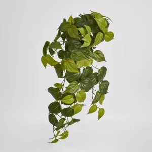Hanging Philodendron Bush Real Touch by Florabelle Living, a Plants for sale on Style Sourcebook