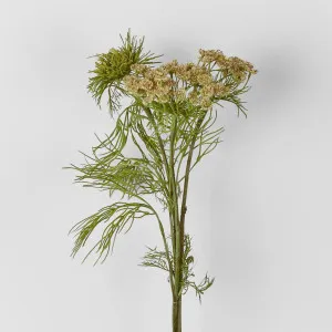 Queen Anne Lace Spray 79cm by Florabelle Living, a Plants for sale on Style Sourcebook