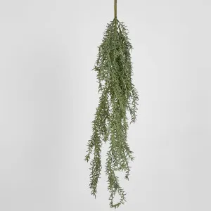 Rosemary Hanging greenery 107cm by Florabelle Living, a Plants for sale on Style Sourcebook