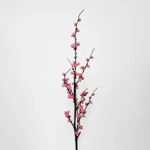 Japonica Blossom Stem 120cm Pink by Florabelle Living, a Plants for sale on Style Sourcebook