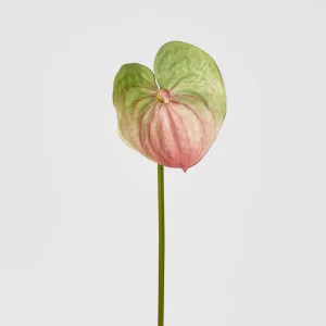 Anthurium Lily Real Touch Pink by Florabelle Living, a Plants for sale on Style Sourcebook