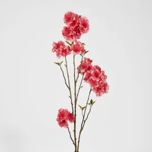 Peach Blossom Spray 118cm Light Pink by Florabelle Living, a Plants for sale on Style Sourcebook