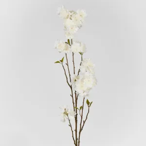 Peach Blossom Spray 118cm White by Florabelle Living, a Plants for sale on Style Sourcebook