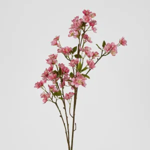 Mini Peach Blossom Spray Pink by Florabelle Living, a Plants for sale on Style Sourcebook