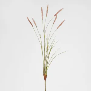 Foxtail Spray Pink by Florabelle Living, a Plants for sale on Style Sourcebook