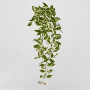 Real Touch Hanging Hoya Leaf Bush 98cm by Florabelle Living, a Plants for sale on Style Sourcebook