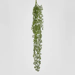 Real Touch Senecio Hanging Vine 73cm by Florabelle Living, a Plants for sale on Style Sourcebook