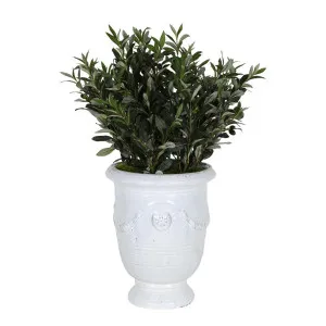 Landis Magnolia Small Arrangement by Florabelle Living, a Plants for sale on Style Sourcebook