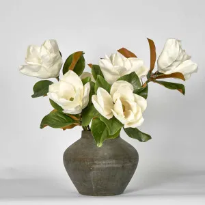 Landis Magnolia Medium Arrangement by Florabelle Living, a Plants for sale on Style Sourcebook