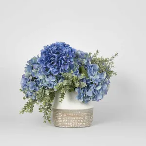 Cove Hydrangea Medium Arrangement by Florabelle Living, a Plants for sale on Style Sourcebook