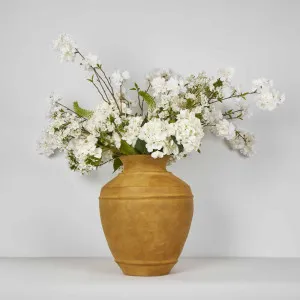 Caesna Arrangement by Florabelle Living, a Plants for sale on Style Sourcebook