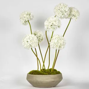 Cleo Arrangement White by Florabelle Living, a Plants for sale on Style Sourcebook