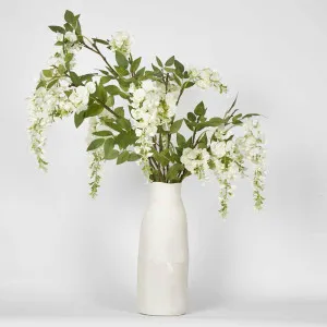 Tuba Wisteria White Floral Arrangement by Florabelle Living, a Plants for sale on Style Sourcebook