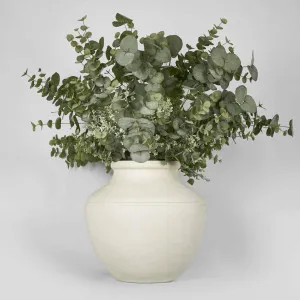 Murcia Eucalyprus Arrangement by Florabelle Living, a Plants for sale on Style Sourcebook