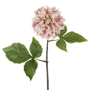 Dried Look Dahlia Stem Small 43cm Pink by Florabelle Living, a Plants for sale on Style Sourcebook