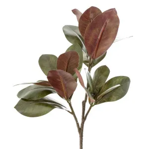Leaf Magnolia Large 85cm by Florabelle Living, a Plants for sale on Style Sourcebook