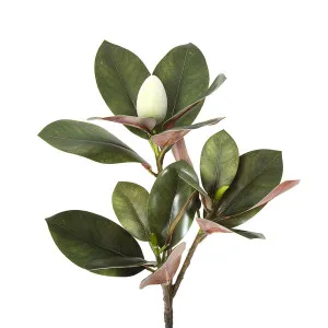 Magnolia Bud 85cm Green by Florabelle Living, a Plants for sale on Style Sourcebook