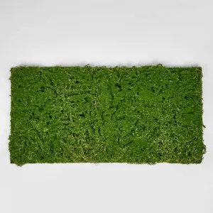 Moss Mat 100x50cm by Florabelle Living, a Plants for sale on Style Sourcebook