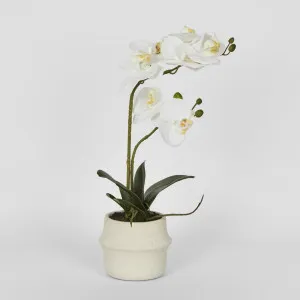 Real Touch Phalaenopsis Arrangement in Zara Pot 46cm by Florabelle Living, a Plants for sale on Style Sourcebook