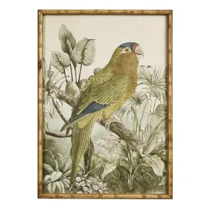 Jungle Parrot Wall Art A by Florabelle Living, a Prints for sale on Style Sourcebook