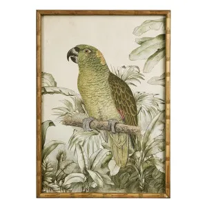 Jungle Parrot Wall Art B by Florabelle Living, a Prints for sale on Style Sourcebook