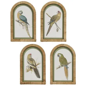 Parrots in Arches Wall Art Set of 4 by Florabelle Living, a Prints for sale on Style Sourcebook