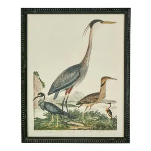 Graceful Cranes Wall Art A by Florabelle Living, a Prints for sale on Style Sourcebook