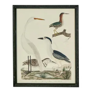 Graceful Cranes Wall Art B by Florabelle Living, a Prints for sale on Style Sourcebook