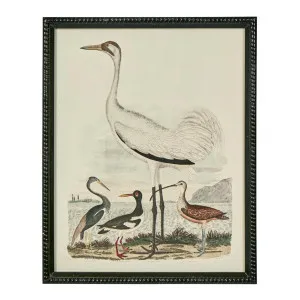 Graceful Cranes Wall Art C by Florabelle Living, a Prints for sale on Style Sourcebook