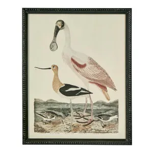 Graceful Cranes Wall Art D by Florabelle Living, a Prints for sale on Style Sourcebook